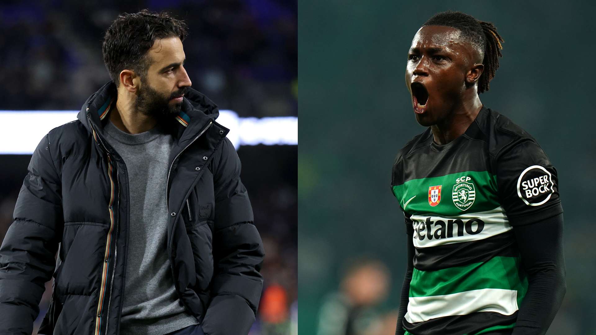 球迷对球员 球迷对球员