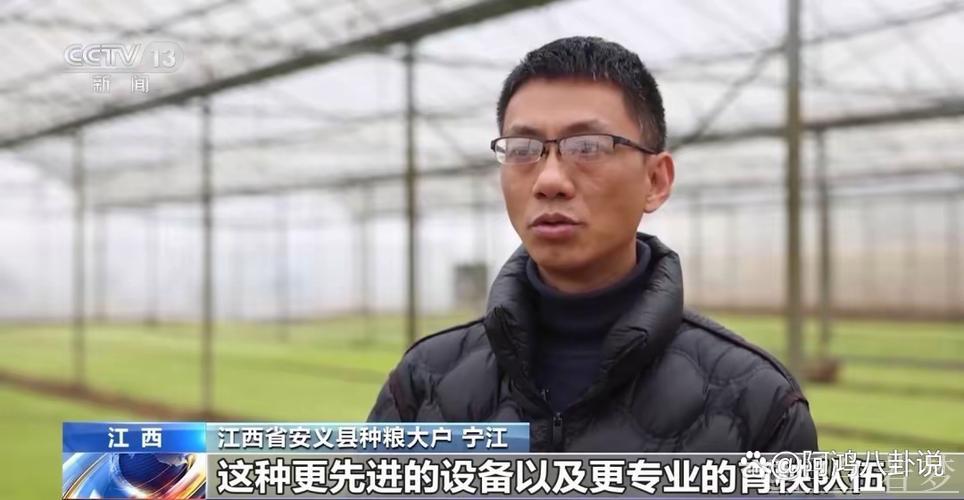 全国已春播粮食3500多万亩 全国已春播粮食3500多万亩